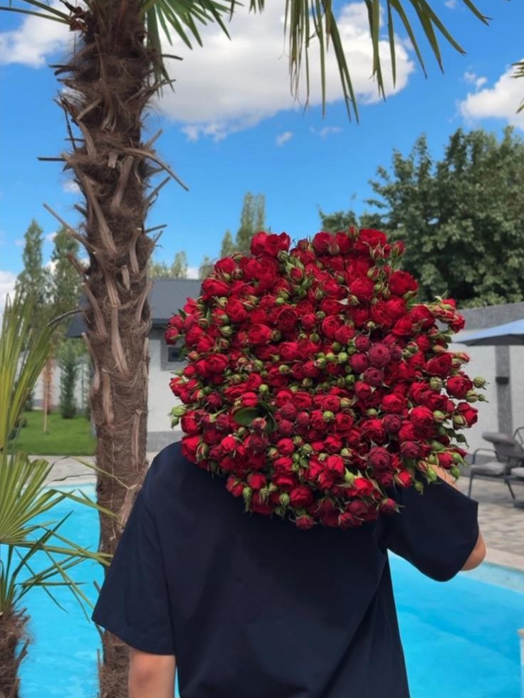 Կարմիր թփավարդեր